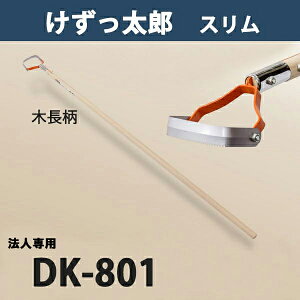 y@lizY X ؕ DK-801 ֐n {i  _ ƒ؉  ԏj