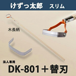 y@lizY X ؕ DK-801 ֐n ֐n 1t {i  _ ƒ؉  ԏj