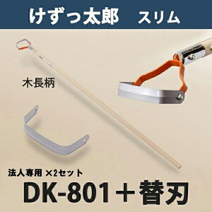 y@lizY X ؕ DK-801 ֐n 1t 2Zbg {i  _ ƒ؉  ԏj