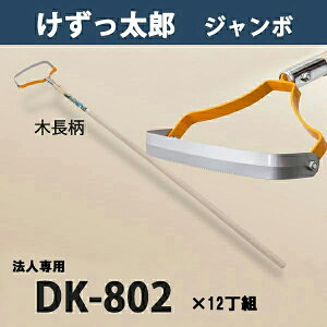 y@lizY W{ ؕ DK-802 ֐n ܂Ƃߔ 12g {i  _ ƒ؉  ԏj