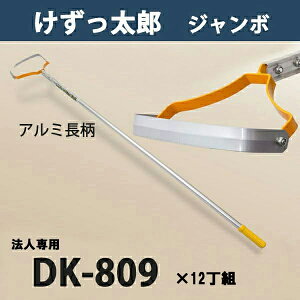 y@lizY W{ A~nh DK-809 ֐n ܂Ƃߔ 12g {i  _ ƒ؉  ԏj