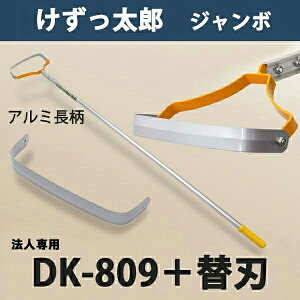 y@lizY W{ A~nh DK-809 ֐n ֐n 1t {i  _ ƒ؉  ԏj