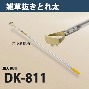 y@lizG  Ƃꑾ DK-811 ֐n  {i  _ ƒ؉ |j