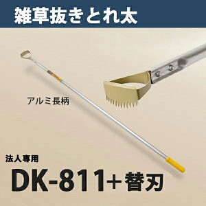y@lizG  Ƃꑾ DK-811 ֐n  ֐n 1t {i  _ ƒ؉ |j