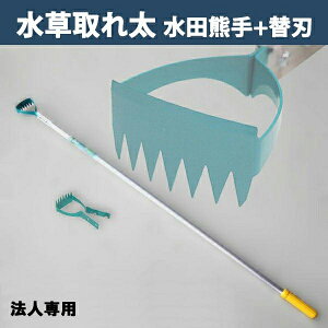 y@lizcF Ƃꑾ DK-816 ֐n ֐n 1t {icp qG   _Ɨp  __Ɓj