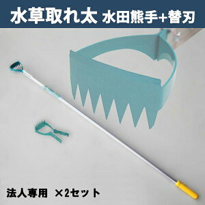 y@lizcF Ƃꑾ DK-816 ֐n ֐n 1t 2Zbg {icp qG   _Ɨp  __Ɓj