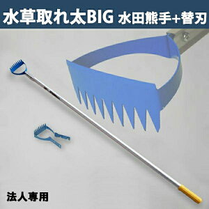 y@lizcF Ƃꑾ rbO DK-818 ֐n ֐n 1t {icp qG   _Ɨp  __Ɓj