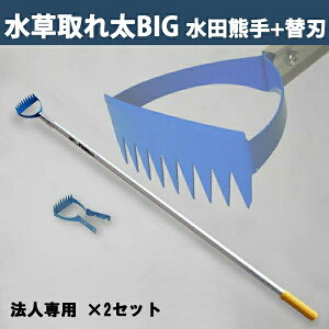 y@lizcF Ƃꑾ rbO DK-818 ֐n ֐n 1t 2Zbg {icp qG   _Ɨp  __Ɓj