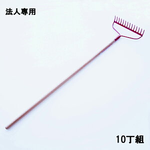 y@lizVu AJ[L 14{ ؕ܂Ƃߔ 10g {(F c nL ~ n _ j