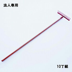 y@lizVu X`[[L 12{ ؕ܂Ƃߔ 10g {(K[f[L F c nL ~ _ j