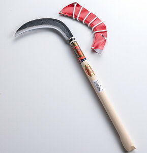 Y Ў  n 195mm| 5Kt ԃP[Xt Αb( M 葢芙 |pi |)