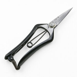 Ȑ  n 180mm ~ łbi (E  | n  ؂)