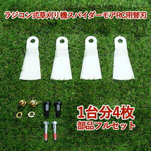 i lp Wt[n XpC_[ARC WR @ RCSP530 RCM50p ֐n 1䕪 4 tZbg