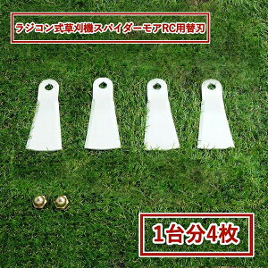 i lp Wt[n XpC_[ARC WR @ RCSP530 RCM50p ֐n1䕪 4 ibgt