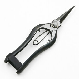 @ E n 180mm ~ łbi (E  | n  ؉)