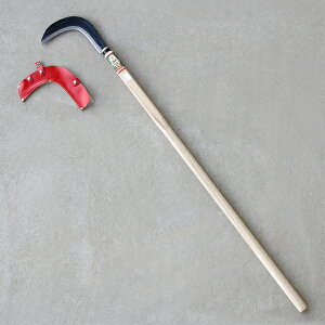 y^izBzהn ъ Аn 375g  (  葢芙 |pi |)