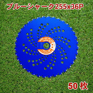@p `bv\[ u[V[N255mm×36P 50g ܂ƂߔEpi@ ֐n @p j