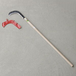 y^izBz ъ p^ 380g nCe| ~4ڕt