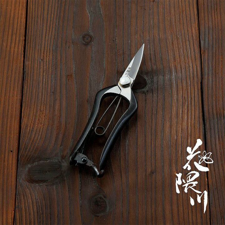 楽天市場】花隈川 芽切鋏 片刃 170mm (摘花 庭鋏 園芸 収穫 剪定 芽 