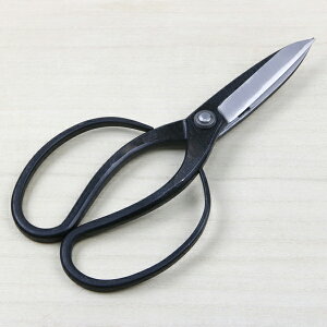  t^ 35n | JV~ 葢bi(͂ nT~ | ~Mtg Mtg 蕨 ސEj)