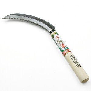 ׎ ǋ(  ؎n _ |pi)