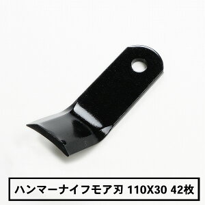 yi n}[iCtA ֐n42 olXp110mm×30mm