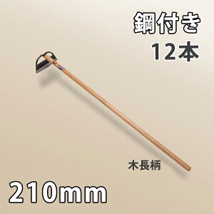 y@liz|t  t 210mm ؒ XEF[f|܂Ƃߔ 12g {i z[   _ ƒ؉j