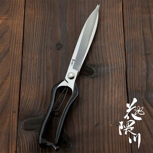 ԌG Ў芠 n O 320mm ( |  n bEl葢 IWi  )