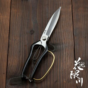 ԌG Ў芠 n WTCY 270mm K[ht (|  n bEl葢 IWi)