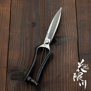 ԌG Ў芠 n אgy 255mm (|  n bEl葢 IWi)
