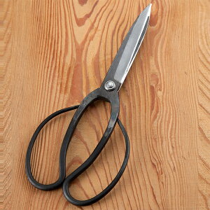  A؉ Ó^ 5n | JV~ 葢bi(͂ nT~ | ~Mtg Mtg 蕨 ސEj)