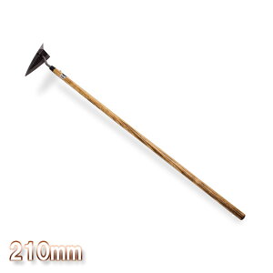 |t Opz[ 210mm ؒ XEF[f| {in   _ ƒ؉j