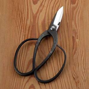  t^ 25n | JV~ 葢bi(~  K[fjO  )