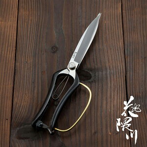 ԌGЎ芠 n אgy 255mm K[ht (|  n bEl葢 IWi)