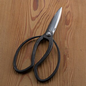  v 3n | JV~ 葢bi(~  K[fjO  )