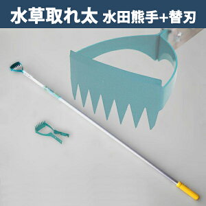 y^izAzcF Ƃꑾ DK-816 ֐n֐n 1ticp qG   _Ɨp  cځj