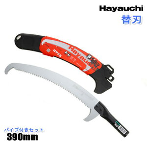 }ؗp̂ ͂₤ ֐nipCvtj