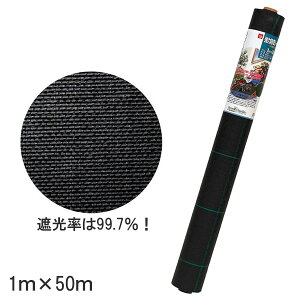 y^izBz hV[g ubN 1m x 50m {iG΍ |p _Ɨpi ՌV[gj