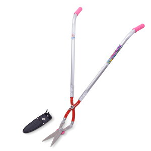 hEJ G  pP[Xt( _   K[fjO)