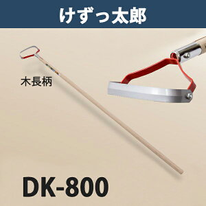 y^izBzY ؕ DK-800 {iL    _ ƒ؉j