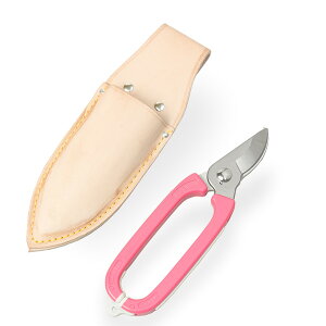 |Zbg ͂ vP[X (IV  v[g ސEj Mtg ) (v[g ސEj ̓ 蕨 a j ꖳj