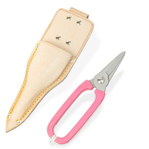 |Zbg ؂΂ vP[X (hV̓ v[g ސEj ̓ 蕨 a j)