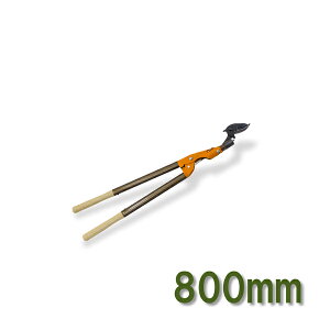 jVKL }  800 (   K[fjO | }؂)