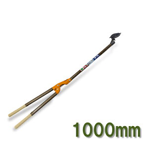 jVKL }  1000 (   K[fjO | }؂)