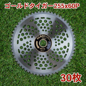 @p `bv\[ S[h^CK[255mm×60P 30g ܂ƂߔRсEʑpi@p ֐n @pj