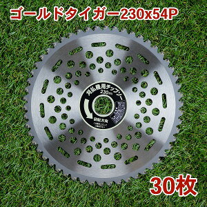 @p `bv\[ S[h^CK[230mm×54P 30g ܂ƂߔRсEʑpi@p ֐n @pj