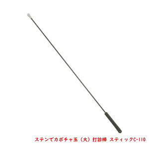 yY XeŃJ{`ʑŐf_()XeBbNC-110 J[{Vtg SObv( _ z xmF eiX)