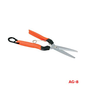 T{e Ռz  AG-8 (n |  _  ʎ)