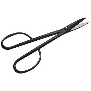 e ~͗p } 210mm (| A)