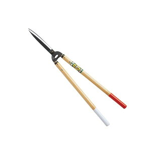 P  55^No.204 (荞 荞݃oT~ |pi)